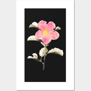 Flower Art Posters and Art